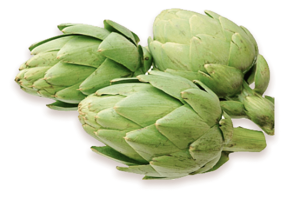 Вердиогаст: тройная помощь для пищеварения